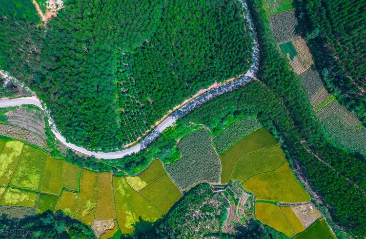 圖片包含 綠色, 蛋糕, 桌子, 游戲機(jī)
描述已自動生成