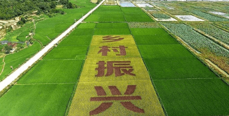 人民日報&ldquo;鄉(xiāng)村振興計劃&rdquo;為何看上他？_直播_行業(yè)_農(nóng)產(chǎn)品